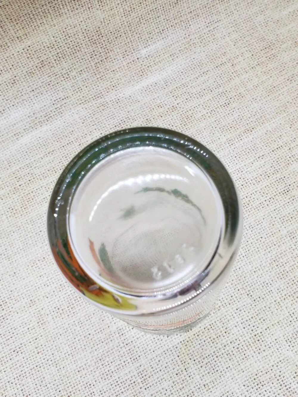Vintage 12 Days of Christmas Pepsi Drinking Glass Day 6 Geese Laying 1970s Carol